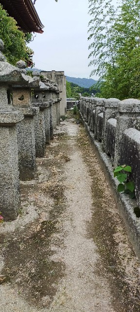 f:id:bluemoonbell:20210723164415j:image f:id:bluemoonbell:20210723164415j:image