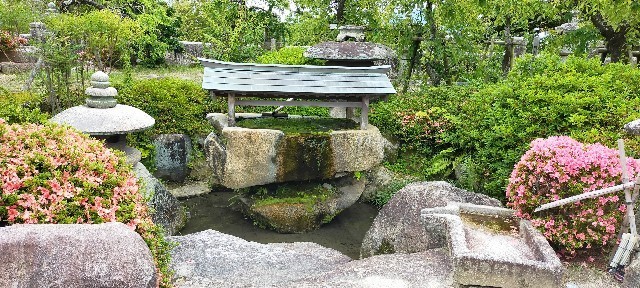 f:id:bluemoonbell:20210723164432j:image f:id:bluemoonbell:20210723164432j:image