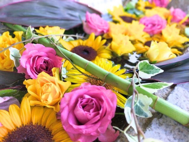 f:id:bluemoonbell:20210803105043j:image f:id:bluemoonbell:20210803105043j:image