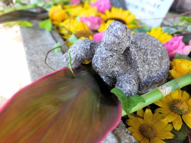 f:id:bluemoonbell:20210803105053j:image f:id:bluemoonbell:20210803105053j:image