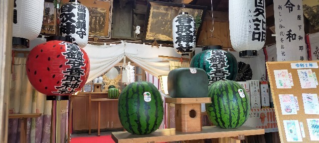 f:id:bluemoonbell:20210803105134j:image f:id:bluemoonbell:20210803105134j:image