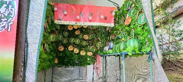 f:id:bluemoonbell:20210803105209j:image f:id:bluemoonbell:20210803105209j:image