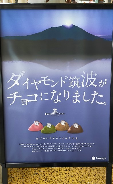 f:id:bluemoonbell:20210805174026j:image f:id:bluemoonbell:20210805174026j:image