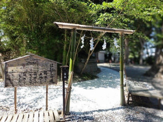 f:id:bluemoonbell:20210814110818j:image