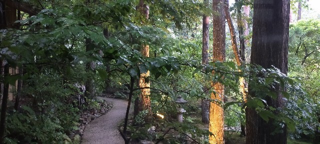 f:id:bluemoonbell:20210922091809j:image