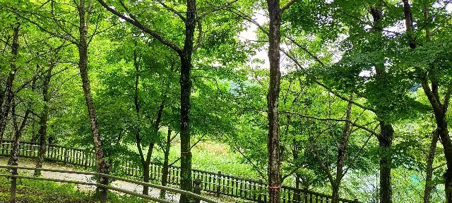 f:id:bluemoonbell:20210927175555j:image