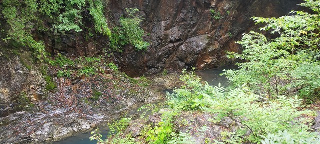 f:id:bluemoonbell:20210928081258j:image