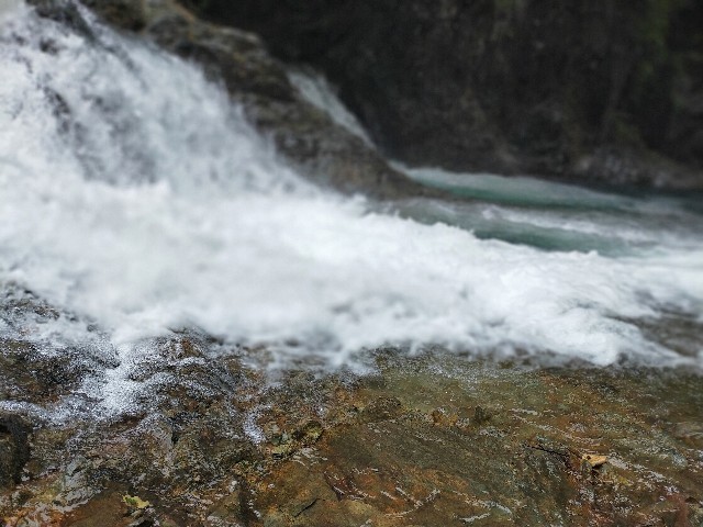 f:id:bluemoonbell:20210928081311j:image