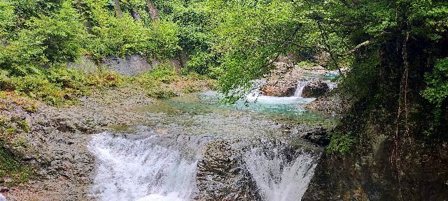 f:id:bluemoonbell:20210928081320j:image