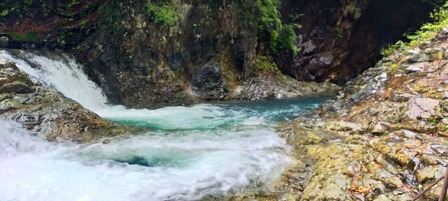 f:id:bluemoonbell:20210928081342j:image