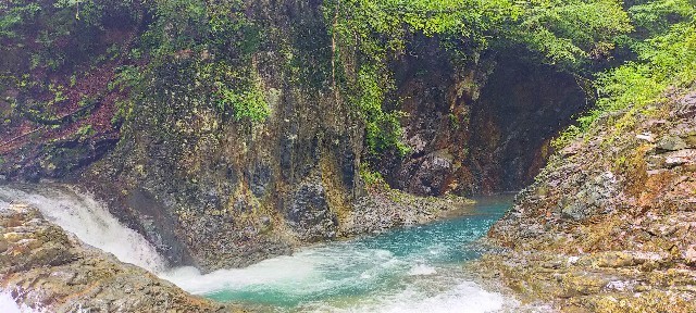 f:id:bluemoonbell:20210928081354j:image