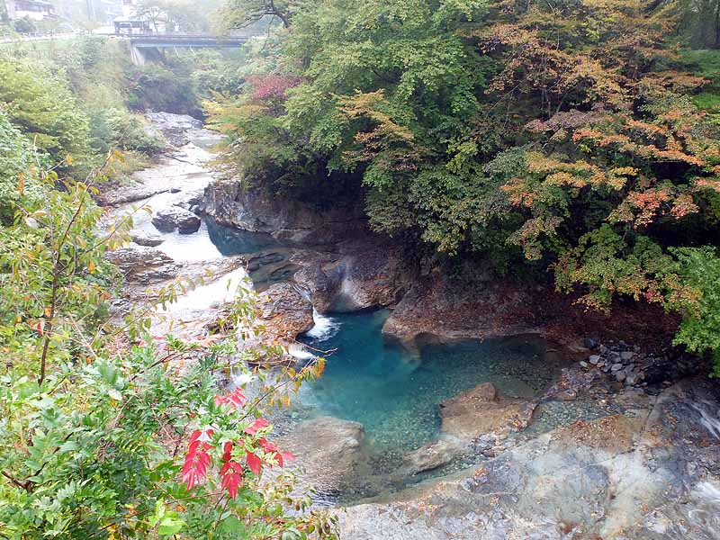 f:id:bluemoonbell:20211001134704p:plain