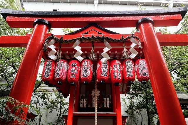 f:id:bluemoonbell:20211104143602j:image f:id:bluemoonbell:20211104143602j:image