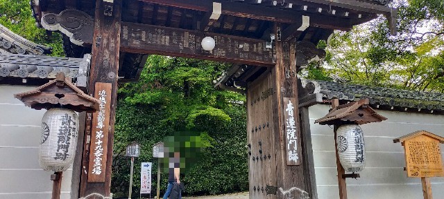 f:id:bluemoonbell:20211106184221j:image