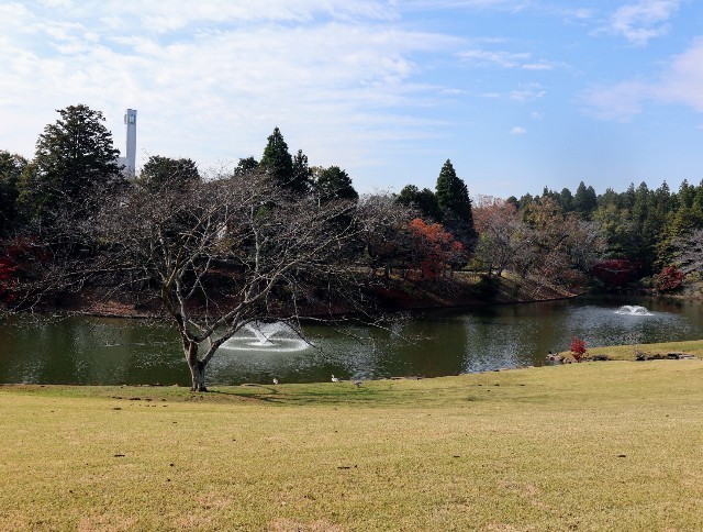 f:id:bluemoonbell:20211115122106j:image f:id:bluemoonbell:20211115122106j:image