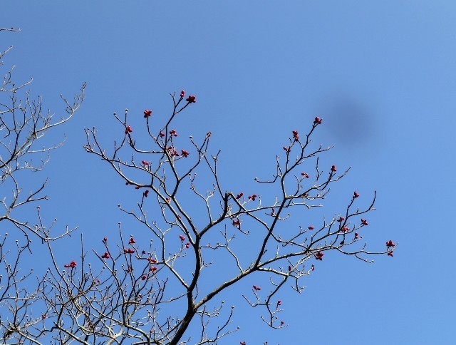 f:id:bluemoonbell:20211120144547j:image