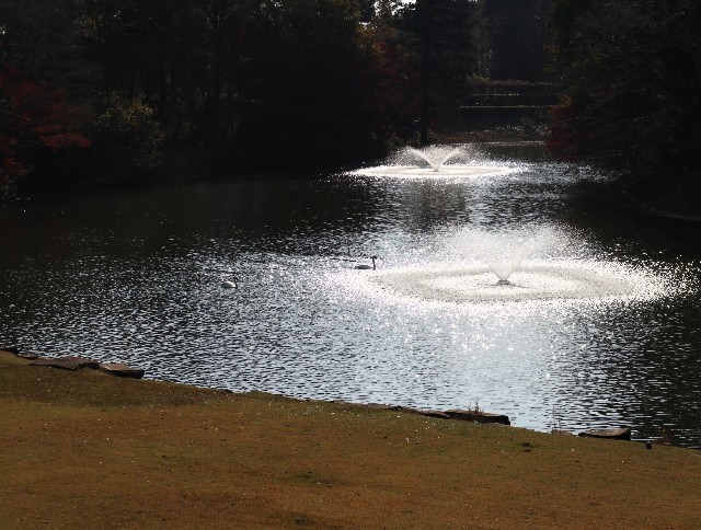 f:id:bluemoonbell:20211120144635j:image