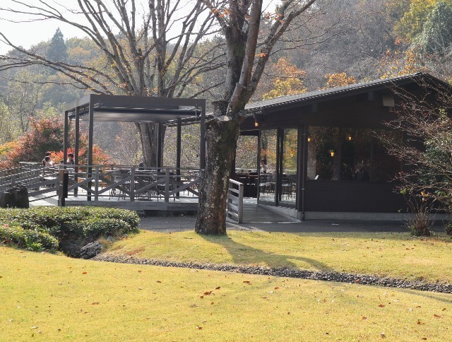 f:id:bluemoonbell:20211120144711j:image