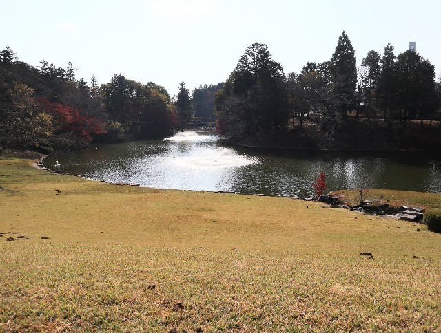 f:id:bluemoonbell:20211120151854j:image