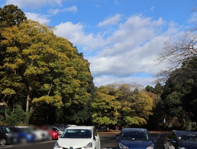 f:id:bluemoonbell:20211123115243j:image