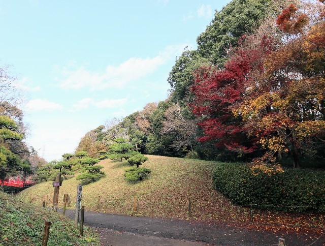 f:id:bluemoonbell:20211123115307j:image