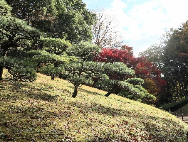 f:id:bluemoonbell:20211123115314j:image