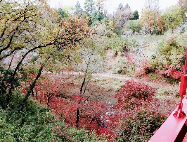f:id:bluemoonbell:20211124140920j:image