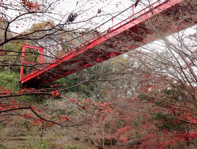 f:id:bluemoonbell:20211124141953j:image