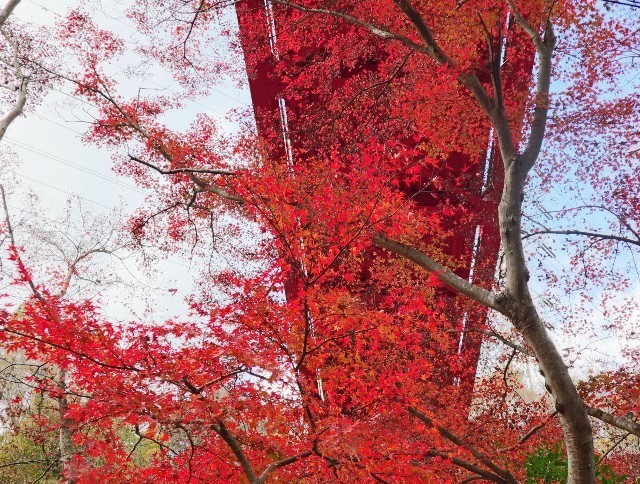 f:id:bluemoonbell:20211124142007j:image