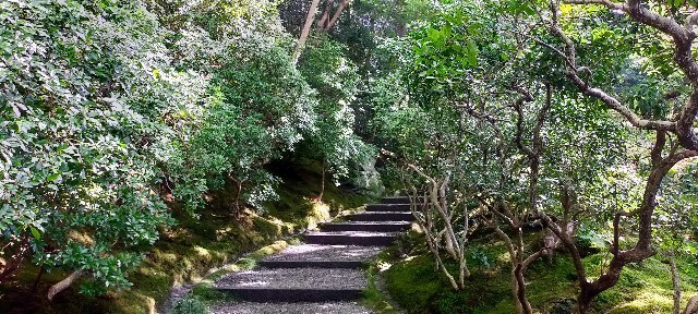 f:id:bluemoonbell:20211203093412j:image