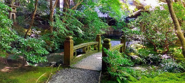 f:id:bluemoonbell:20211203093422j:image