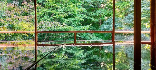 f:id:bluemoonbell:20211203093438j:image