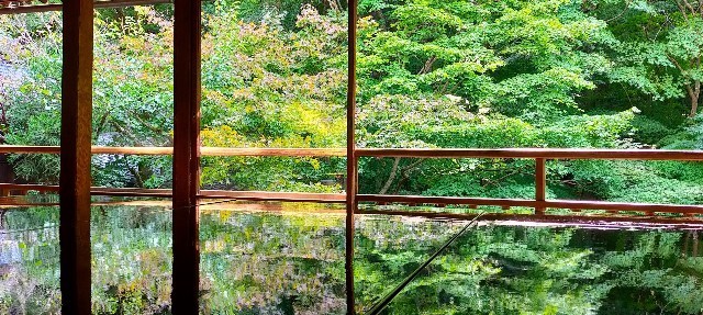 f:id:bluemoonbell:20211203093446j:image