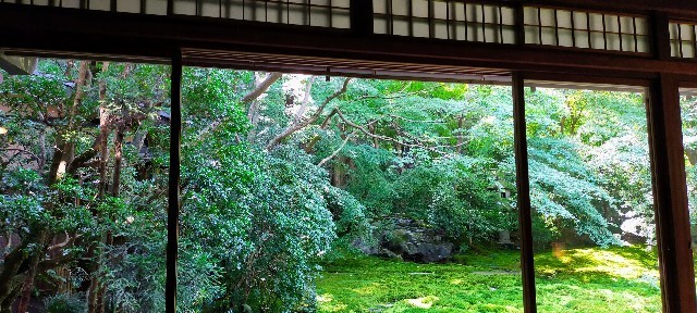 f:id:bluemoonbell:20211203093515j:image