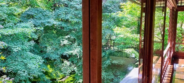 f:id:bluemoonbell:20211203093522j:image