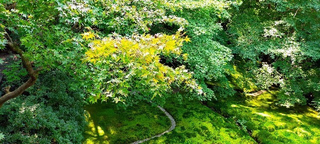 f:id:bluemoonbell:20211203093530j:image