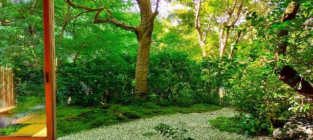 f:id:bluemoonbell:20211203093537j:image