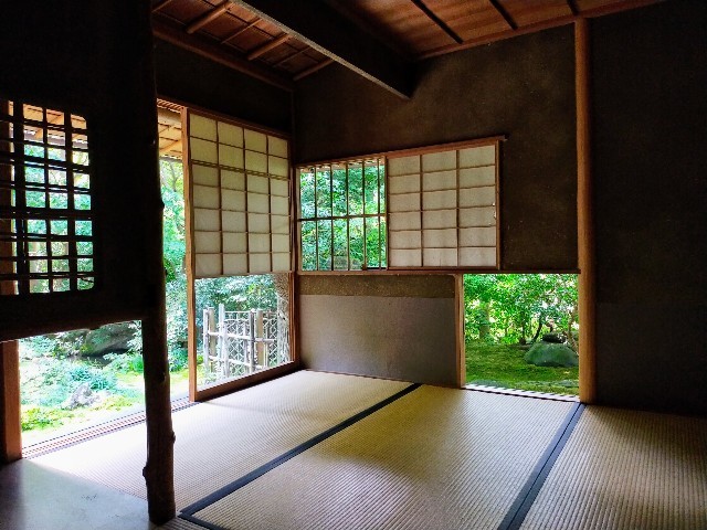 f:id:bluemoonbell:20211203093747j:image