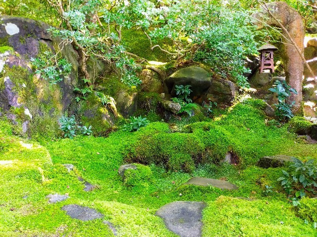 f:id:bluemoonbell:20211203093801j:image