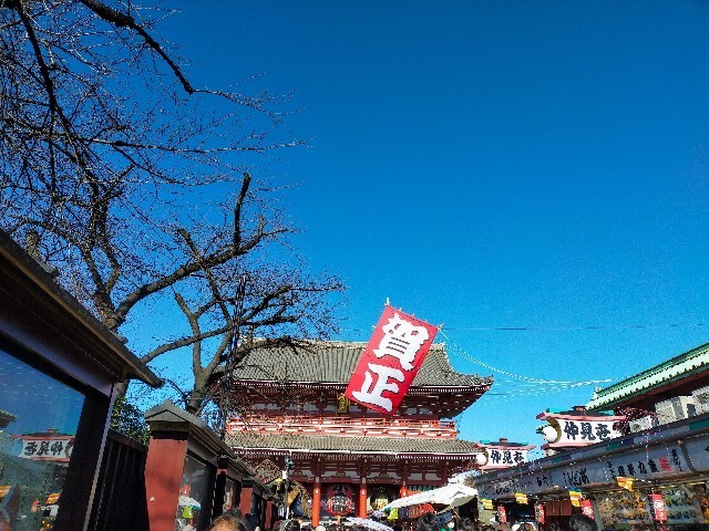 f:id:bluemoonbell:20211223073913j:image