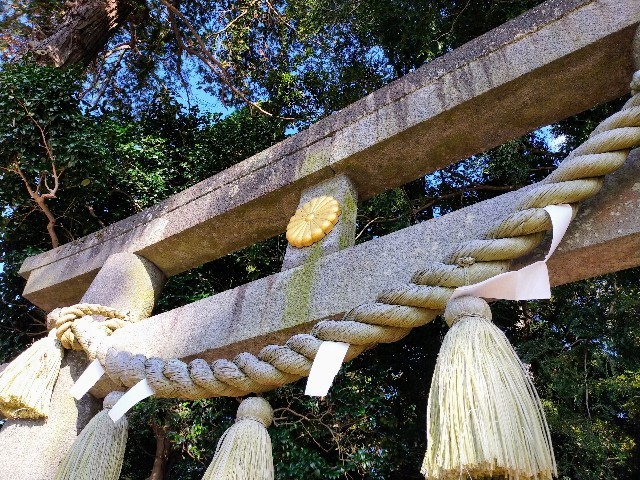 f:id:bluemoonbell:20211224105513j:image f:id:bluemoonbell:20211224105513j:image