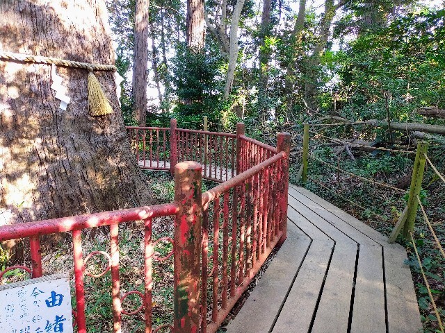 f:id:bluemoonbell:20211224105848j:image f:id:bluemoonbell:20211224105848j:image