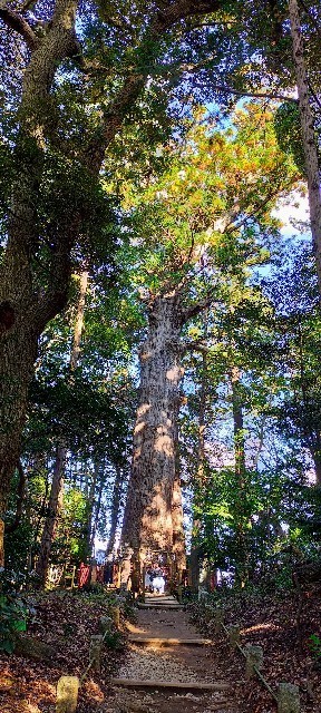 f:id:bluemoonbell:20211224105856j:image f:id:bluemoonbell:20211224105856j:image