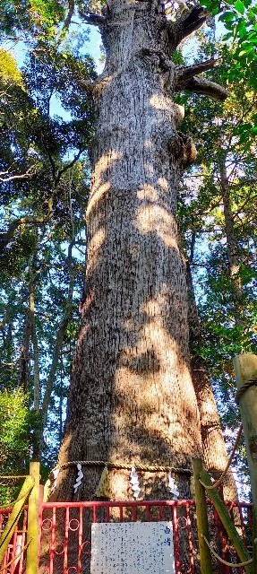 f:id:bluemoonbell:20211224105903j:image f:id:bluemoonbell:20211224105903j:image