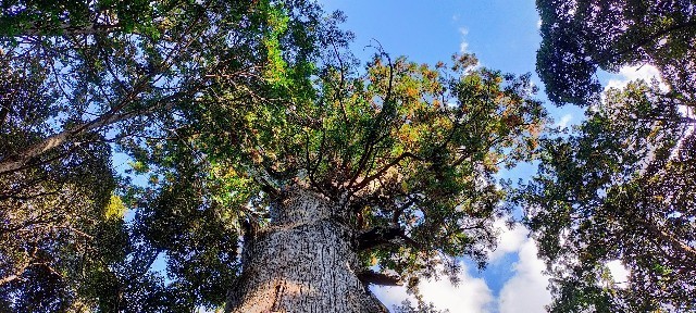 f:id:bluemoonbell:20211224105919j:image f:id:bluemoonbell:20211224105919j:image