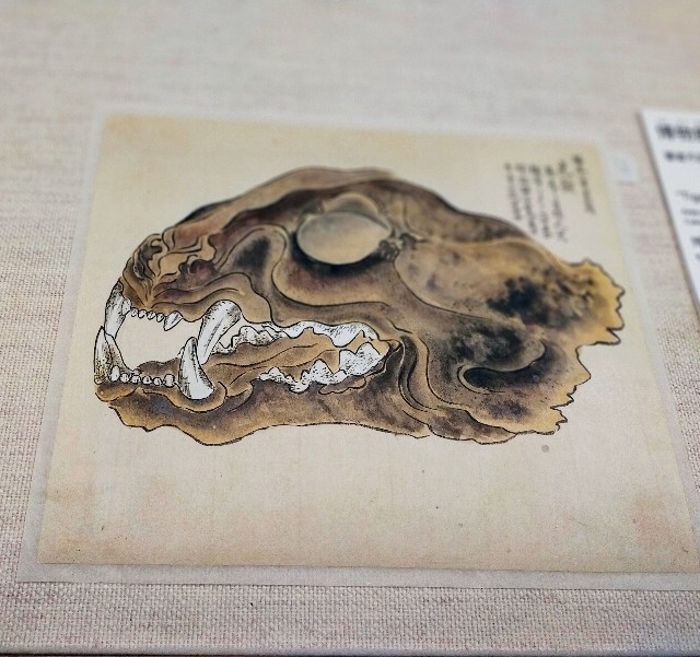 f:id:bluemoonbell:20220103194245j:image