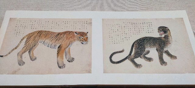 f:id:bluemoonbell:20220103194253j:image