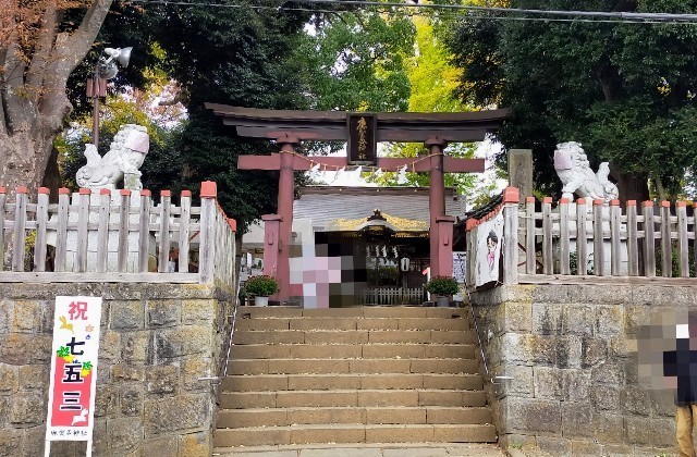 f:id:bluemoonbell:20220120105452j:image