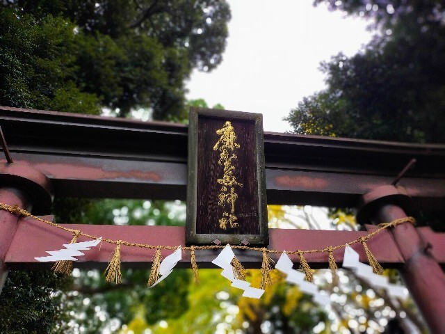 f:id:bluemoonbell:20220120105500j:image