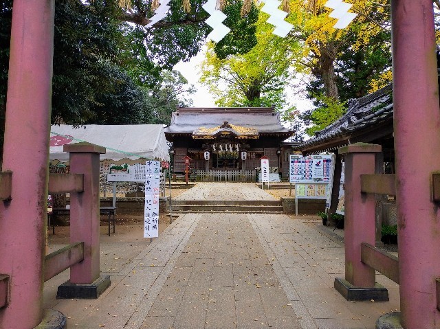 f:id:bluemoonbell:20220120105507j:image